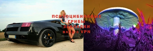 альфа пвп Медвежьегорск