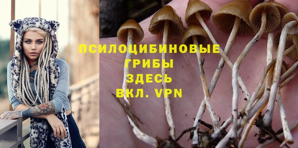 альфа пвп Медвежьегорск
