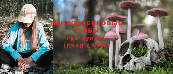 альфа пвп Медвежьегорск