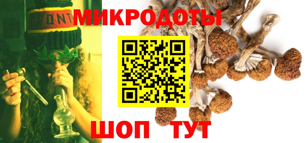 Псилоцибиновые грибы Psilocybe  Вход с VPN  Арзамас 